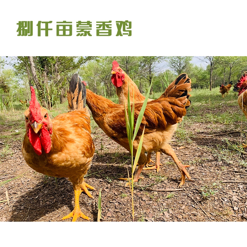 Ǫuĸu2-2.5uȫã ƷYb u հb ԭB(yng) uݵ YGǧ